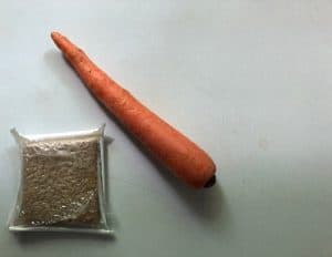 Vegan food