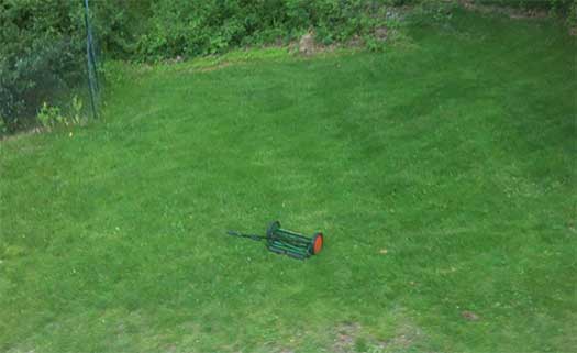Lawn Mower