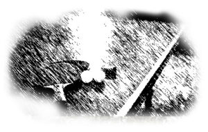 Ping-pong table