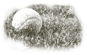 tennis ball